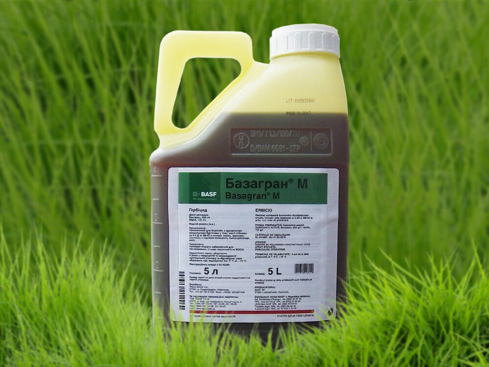 Гербицид Базагран, ВР: инструкция по применению и назначение препарата. Как применять средство для удаления сорняков? Норма расхода и дозировка.