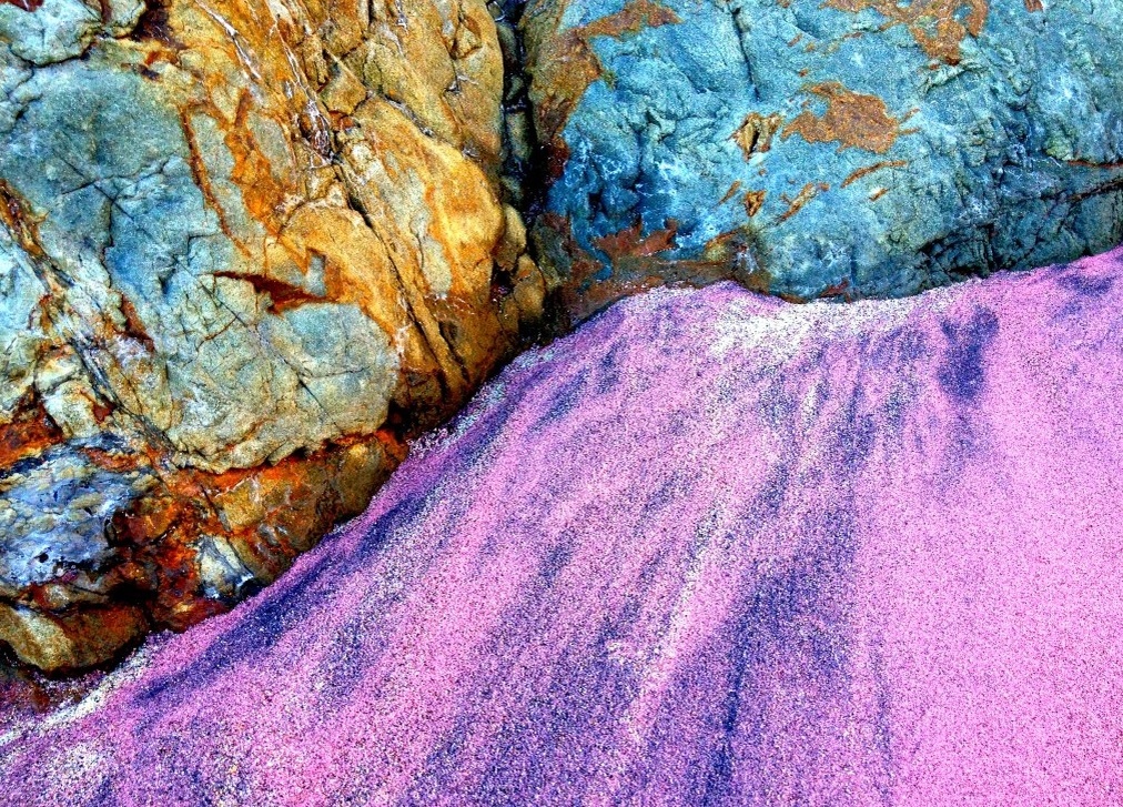 
Фото с сайта naturetime.wordpress.com