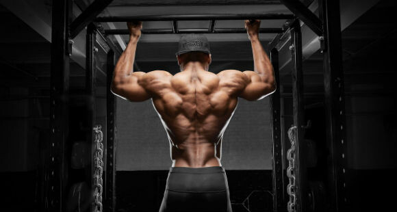 из сети. Для иллюстрации