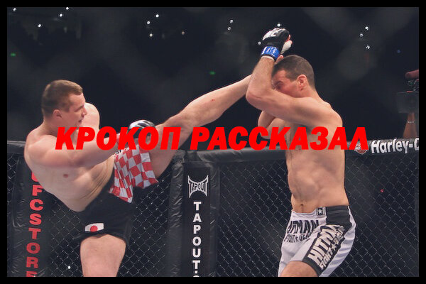 Мирко Филиппович Марк Хант