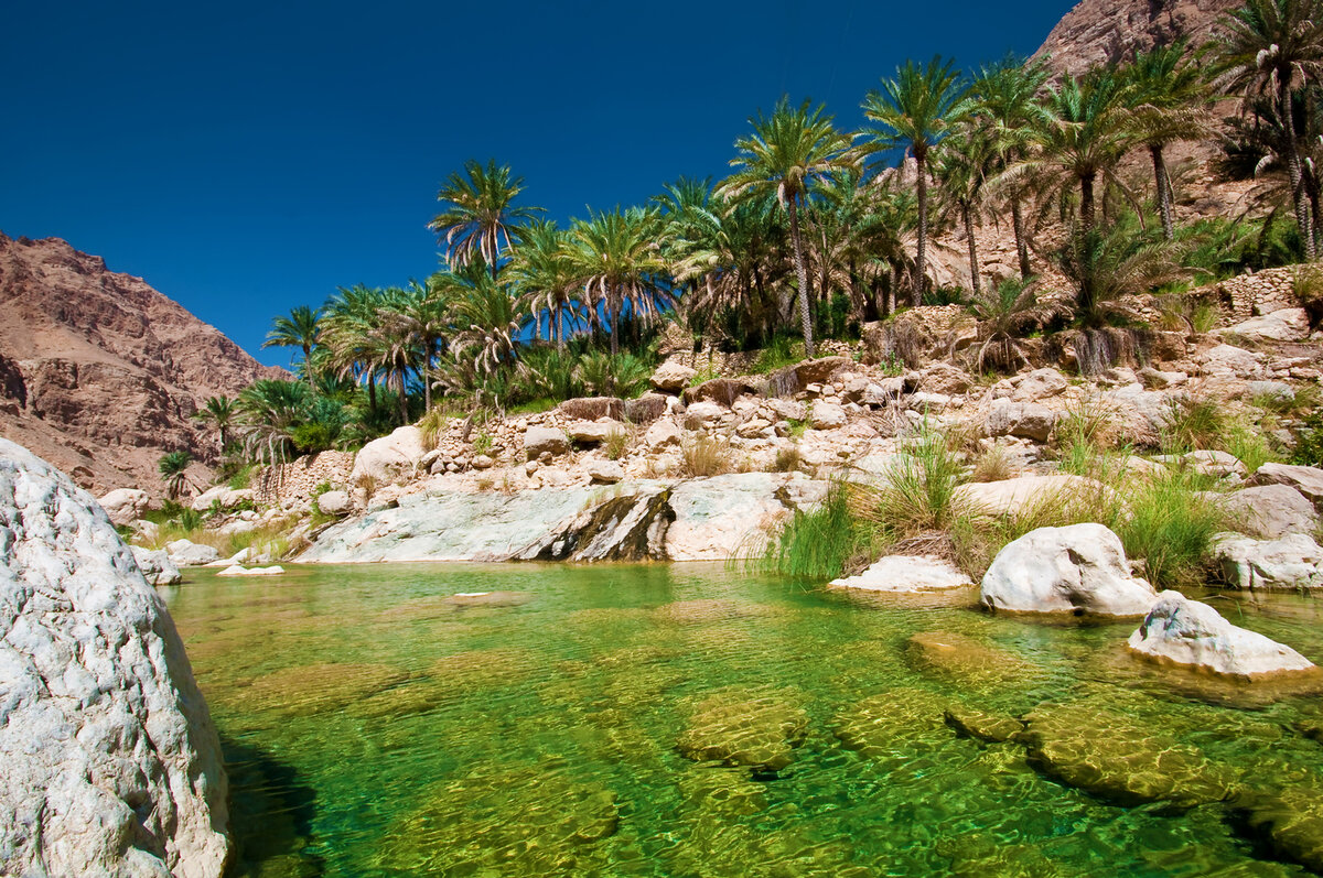 Пустыня Оман Оазис