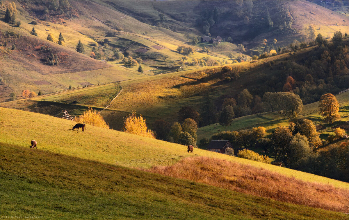 Ландшафт Украины