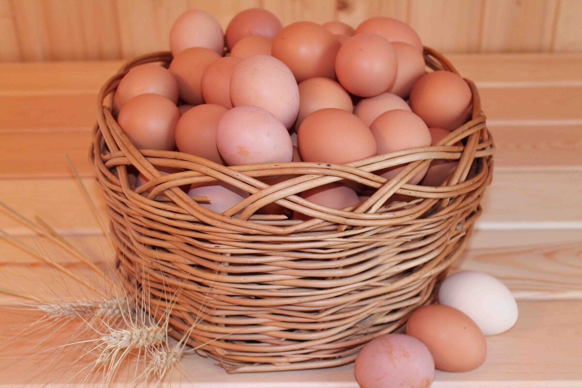 Домашние яйца. Яйцо куриное. Домашние куриные яйца. Яйца кур.