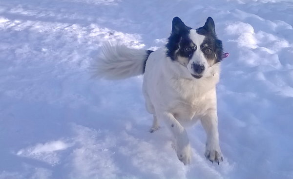 Наша девочка)