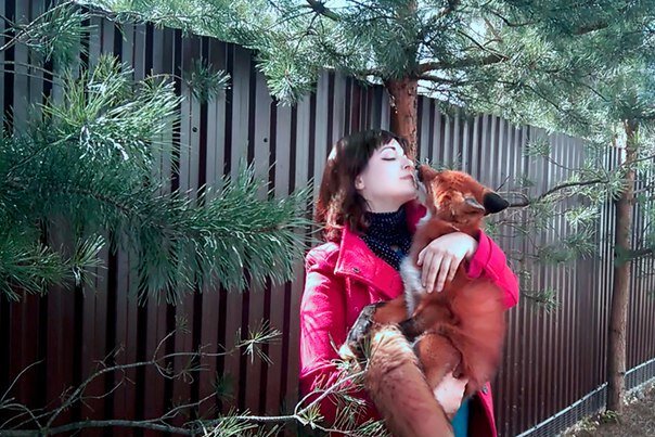 Ручная лисичка - выпускница звероводческого хозяйства со своей хозяйкой.