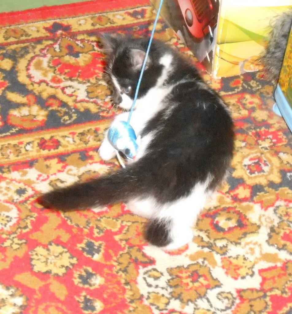 Первая любимая игрушка.