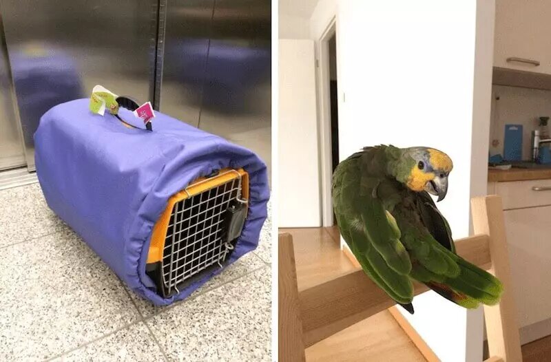 Источник фото - сервис поиска "Яндекс.Картинки"