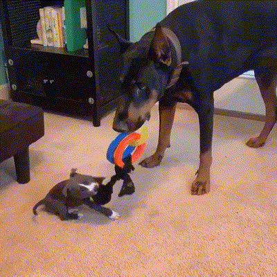  Coxpaняйme cnoкoйcmвиe!