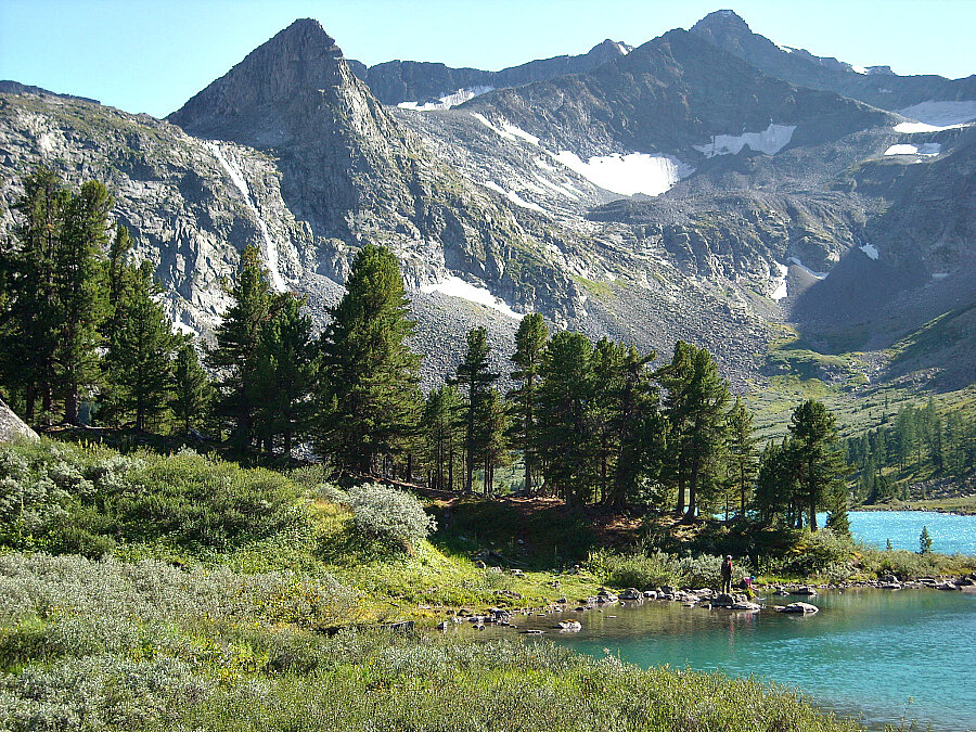 Горный Алтай. Здесь растет золотой корень. 