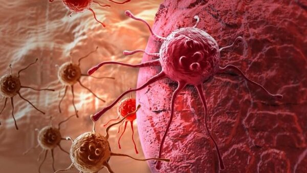 Что есть, чтобы раковые клетки не развивались?