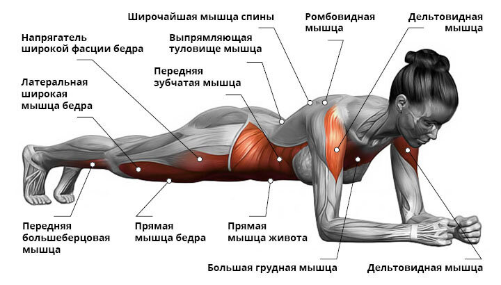 Прогрессия этого упражнения бесконечна, начиная с планки с локтей и колен, для самых неподготовленных, заканчивая планкой на трех медболах, а может и на четырех. Также это упражнение можно использовать как подводящее для девушек, которые не умеют отжиматься от пола, так как мышечные группы вовлекаются в работу одинаковые. 