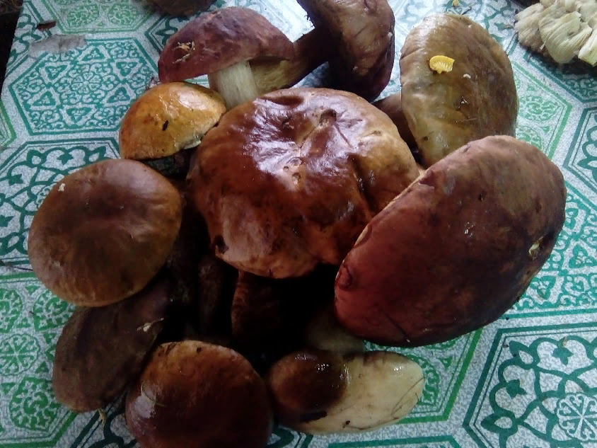 Фото из личного архива