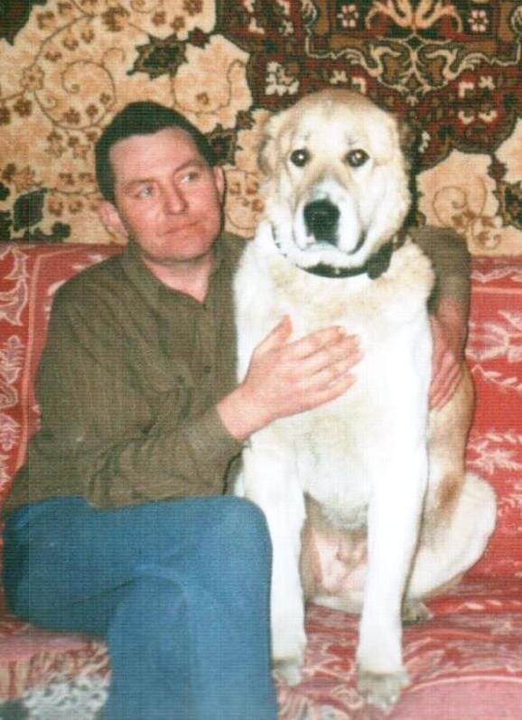 Моя собачка.