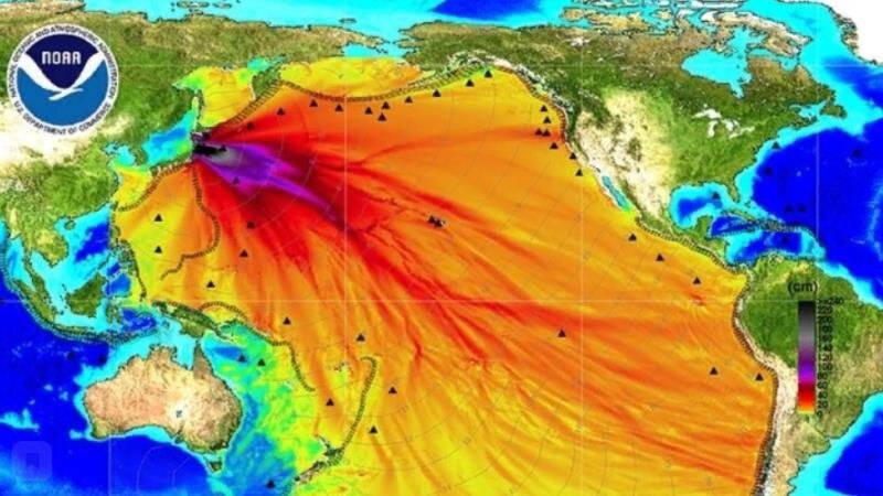 карта  взята здесь:   https://studbooks.net/1835272/geografiya/mezhdunarodnyy_proekt_argo