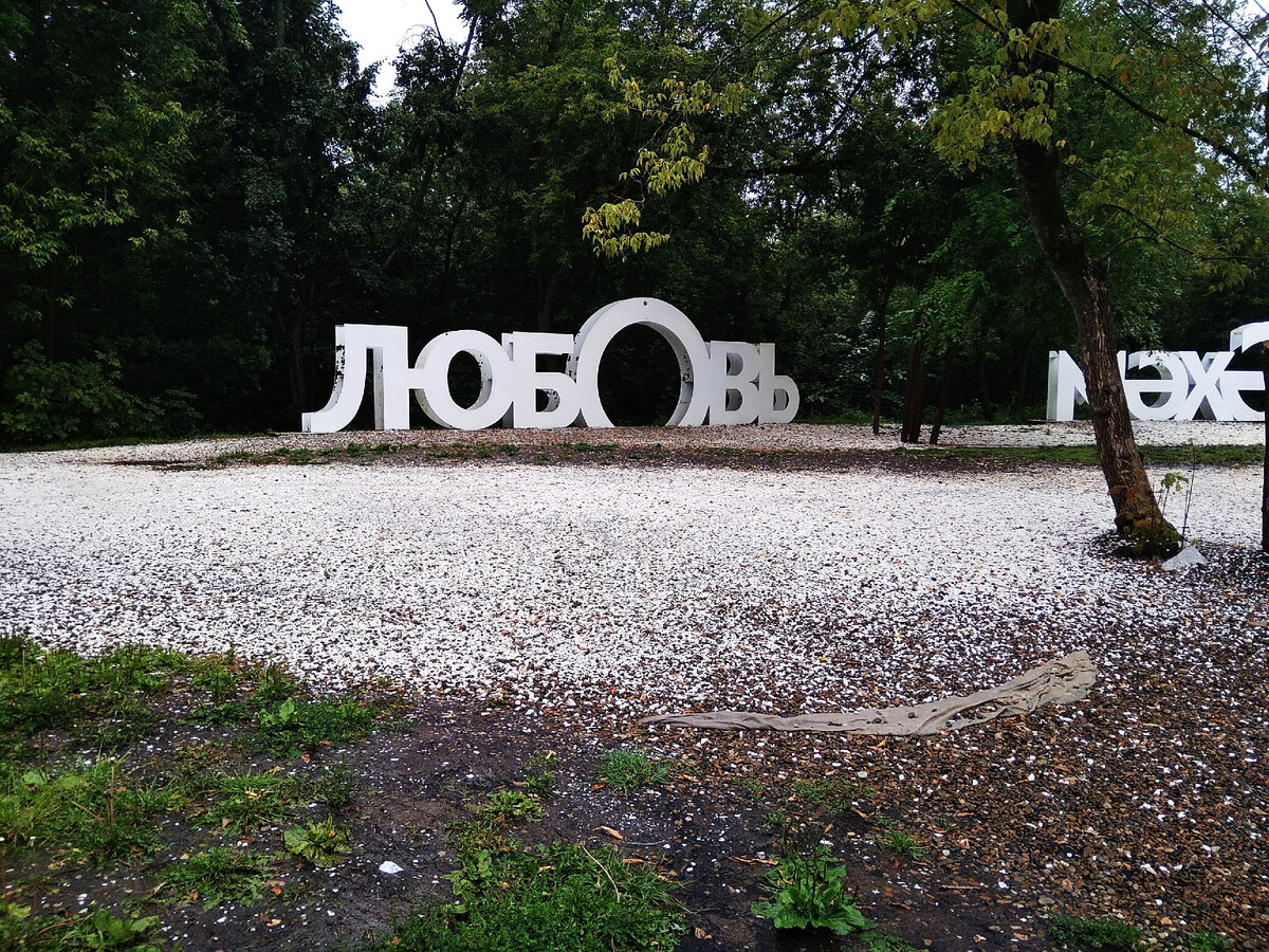 Самые лучшие цитаты про любовь ( 5 штук