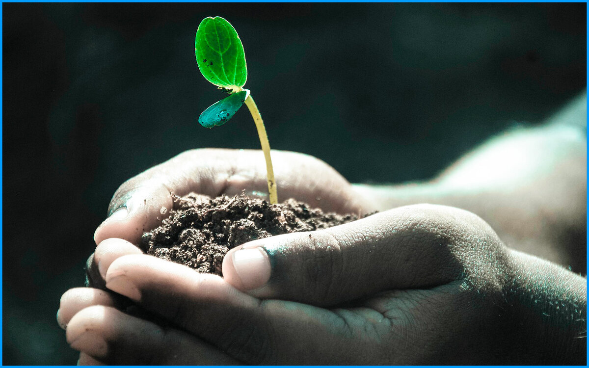 Источник: pixabay.com