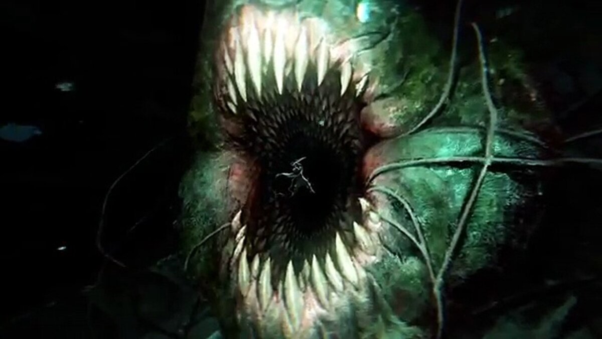 Но стоило гарпунеру достать нож, как вокруг послышался утробный гул, водная гладь вспенилась – и на поверхности показалась целая стая челюстозубов, которая начала оттеснять корабль от его добычи. Насмерть перепуганный капитан тут же приказал обрубить канат, которым был обвязан Пайк. Последнее, что увидел обреченный гарпунер перед тем, как гигантская рыбина проглотила его целиком, – застывший ужас на лицах матросов, вынужденных наблюдать за его гибелью.  Однако Пайк не погиб. 
На глубине многих сажень, под давлением черной толщи воды Пайк снова открыл глаза. Он все еще сидел в пасти чудовища, но теперь повсюду мерцали синие огоньки – как тысячи живых глаз. Зыбкое эхо чего-то таинственного и древнего заполонило и подчинило его разум, послав видения того, чего он лишился, занимаясь своей работой, пока другие наживали на этом состояние.

Пайком вновь овладело желание чего-то большего, но на этот раз он жаждал мести. О да, теперь он усеет морское дно трупами тех, кто причинил ему зло!

В Билджвотере убийствам поначалу не придавали значения: в таком опасном месте красному приливу никто не удивлялся. Но прошло несколько недель, потом месяцев – и все поняли, что это не случайно. Капитанов разных кораблей находили зарезанными, чаще всего рано утром. Пошел слух, что в городе орудует убийца со сверхъестественными способностями и что он якобы идет по списку экипажа проклятого корабля под названием "Ужас", чтобы отомстить за прошлые обиды. Если раньше статусом капитана гордились, то теперь вопрос "Ты капитан?" вызывал только страх.

Вскоре в число жертв вошли помощники капитана, представители торговых гильдий, банкиры, даже конопатчики – словом, все те, кто имел отношение к грязной работе Кровавых доков. На доске розыска появилось новое имя. За голову того самого Потрошителя из Кровавой гавани обещали тысячу золотых кракенов.

Живущий искаженными в бездне вод воспоминаниями, Пайк осуществил то, что никому прежде не удавалось: он заставил дрожать от страха бездушных дельцов, убийц и всю ту шваль, из которой, бывает, состоит корабельная команда. И уже не важно, что никакого судна под названием "Ужас" в билджвотерском порту никто никогда не видел…

Те, кто гордо звался охотниками на монстров, теперь сами стали добычей монстра – а Пайк еще только начал свое дело…