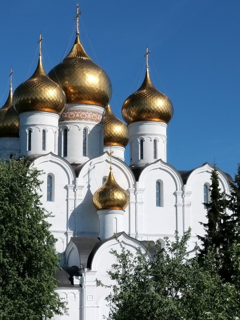                                                                                                 Фото автора статьи