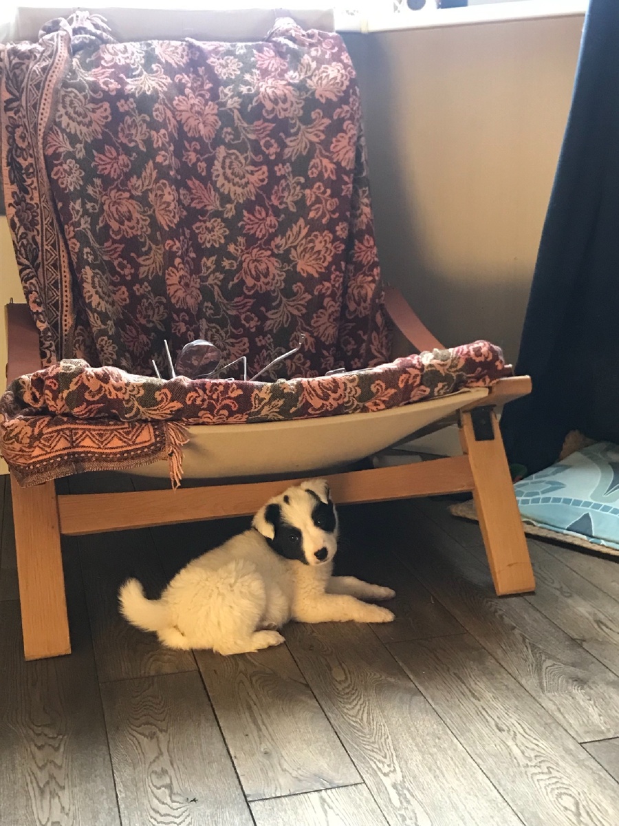 Пострадавший 