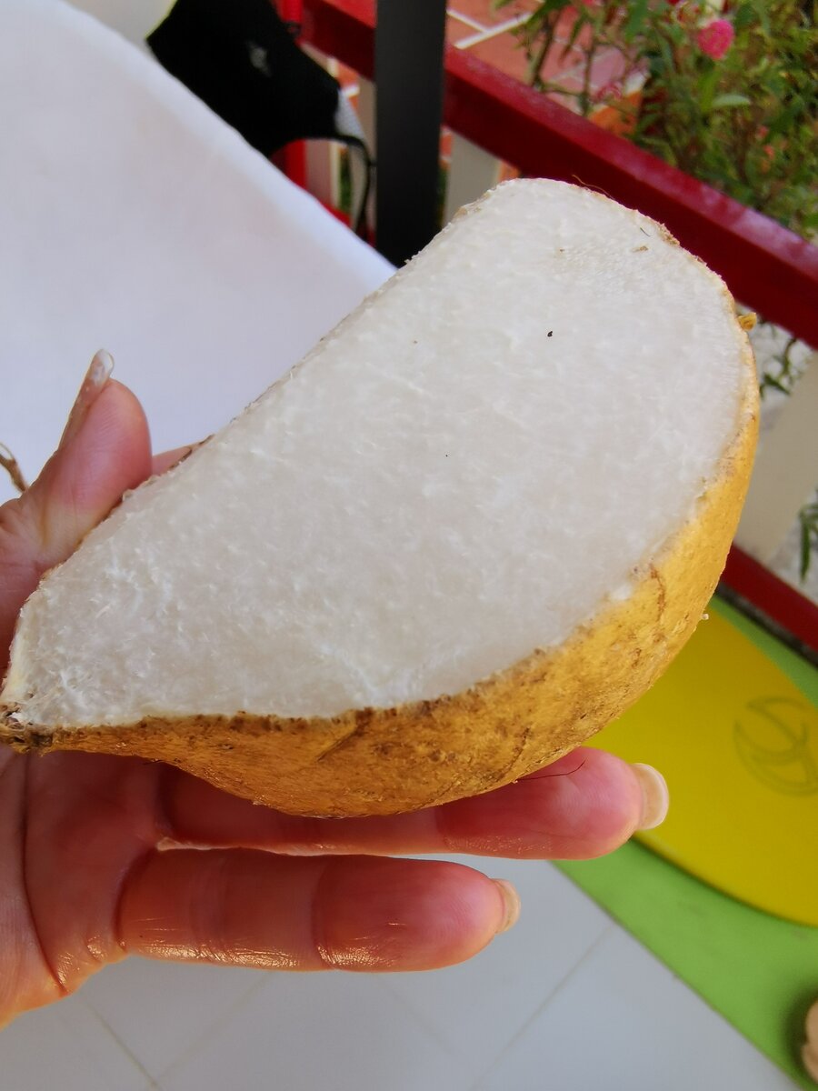 Хикама богата витамином С, Д, калием и магнием.