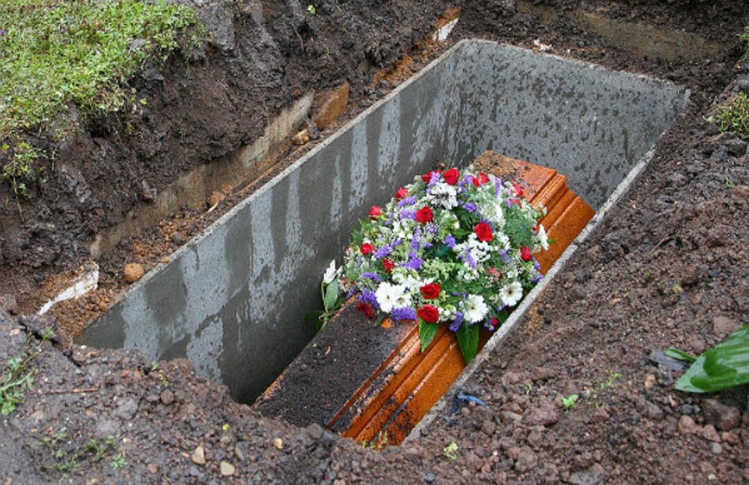 Яндекс, Картинки