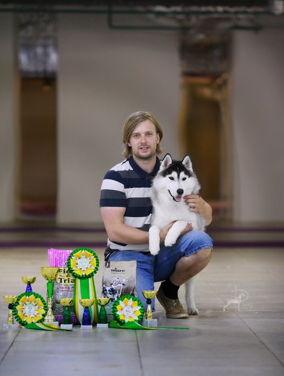 На руки можно брать только спокойную собаку.