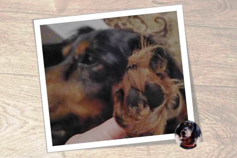 Буду благодарна, если поставите лайк и подпишетесь!  Вы поможете развитию канала