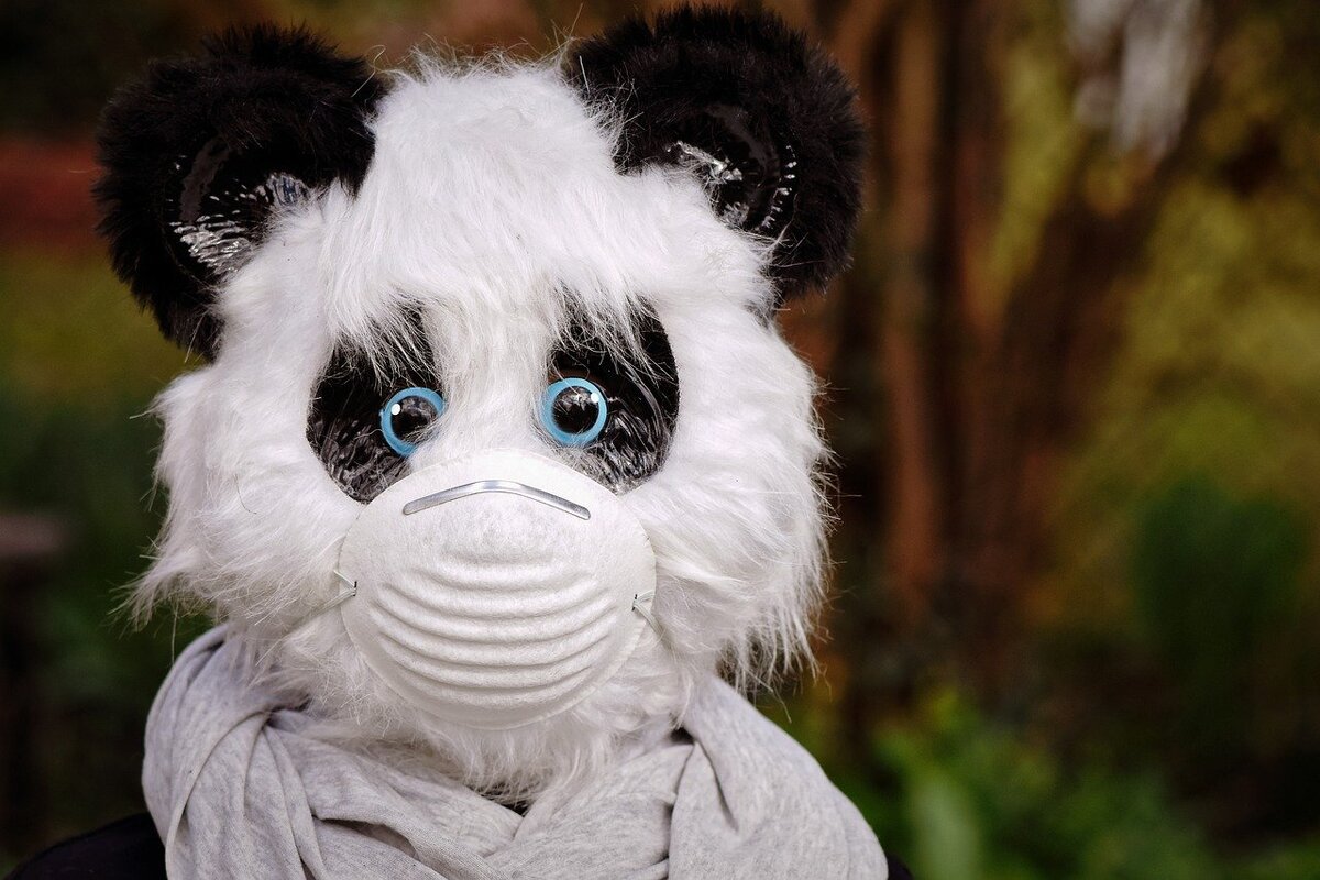 Фото свободного использования