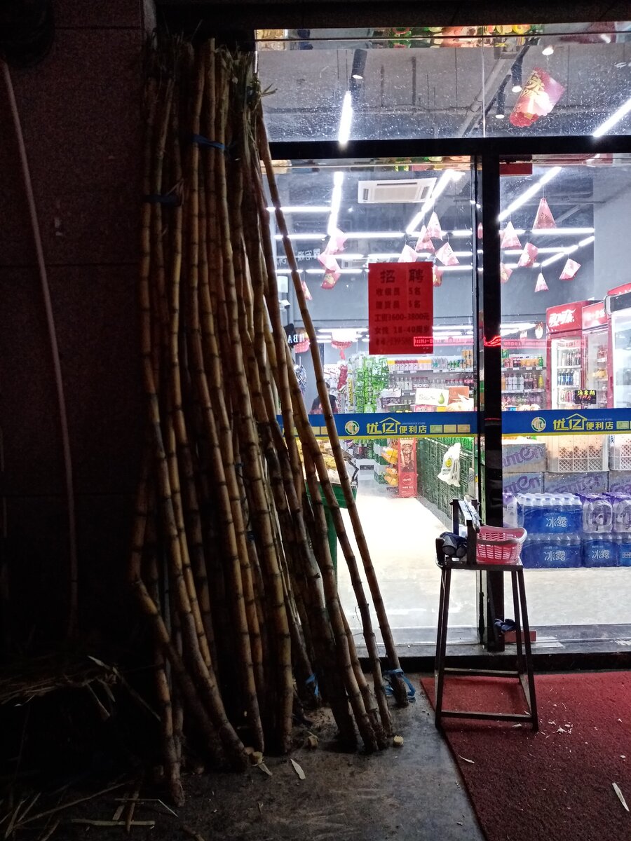 Стебли бамбука возле магазина.