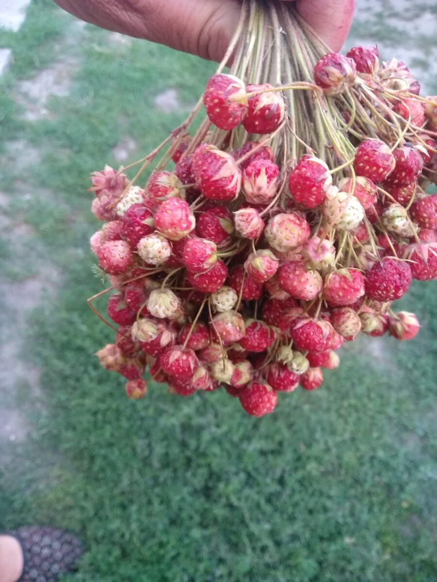 Фото для канала Соловьёвы Соловьёвы наша жизнь.