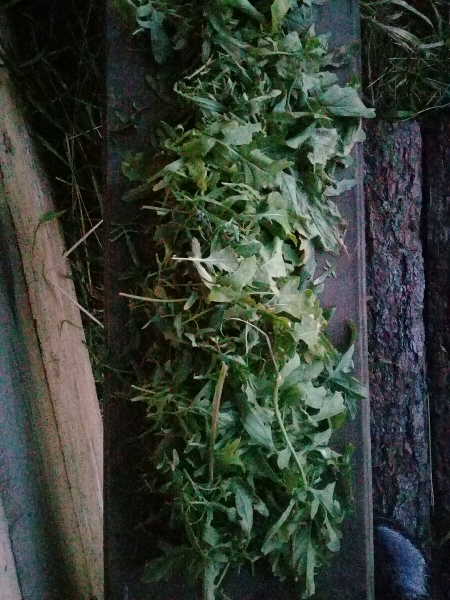   Фото из личного архива