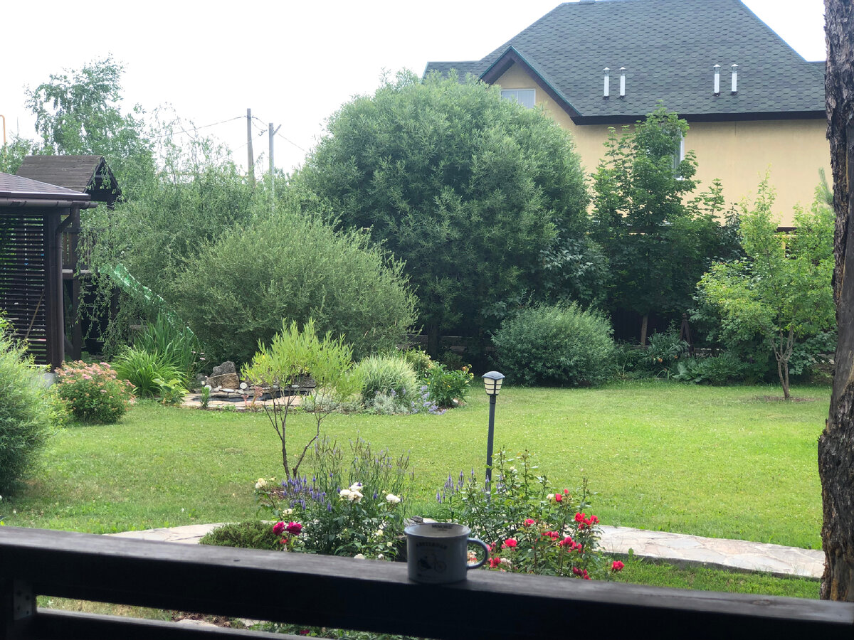 Это мой любимый вид с веранды: лужайка в обрамлении растений
