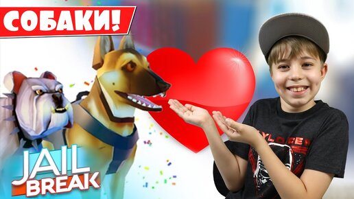 Download Video: Завел собаку в Джейле! // Jail Break Roblox