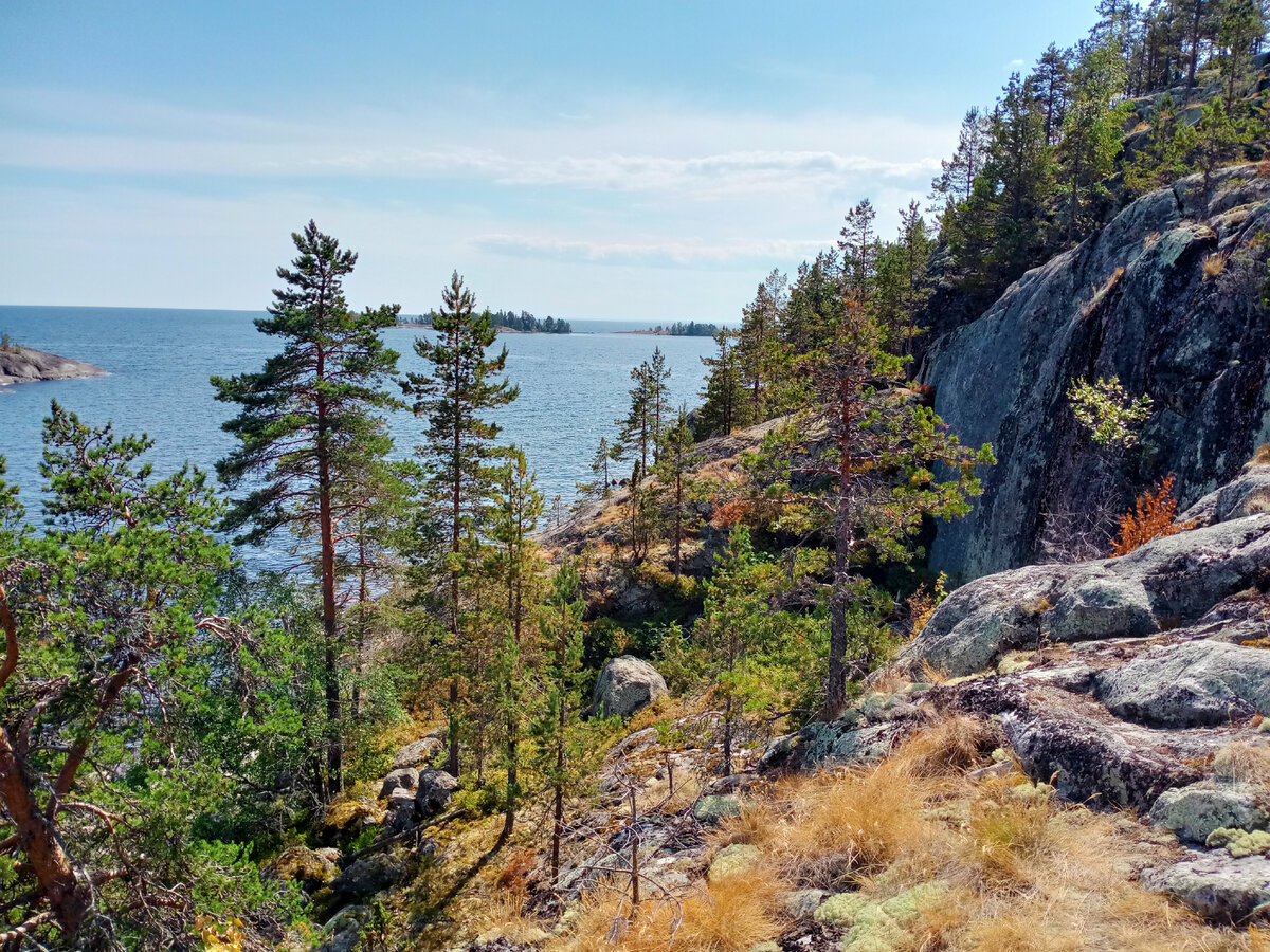 Остров койонсаари карелия фото