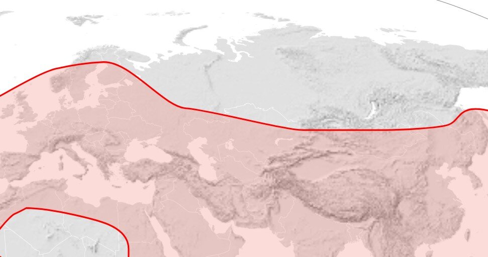 Зашел разговор как-то с представителем "нативного пчеловодства" (чтобы этот термин не значил).