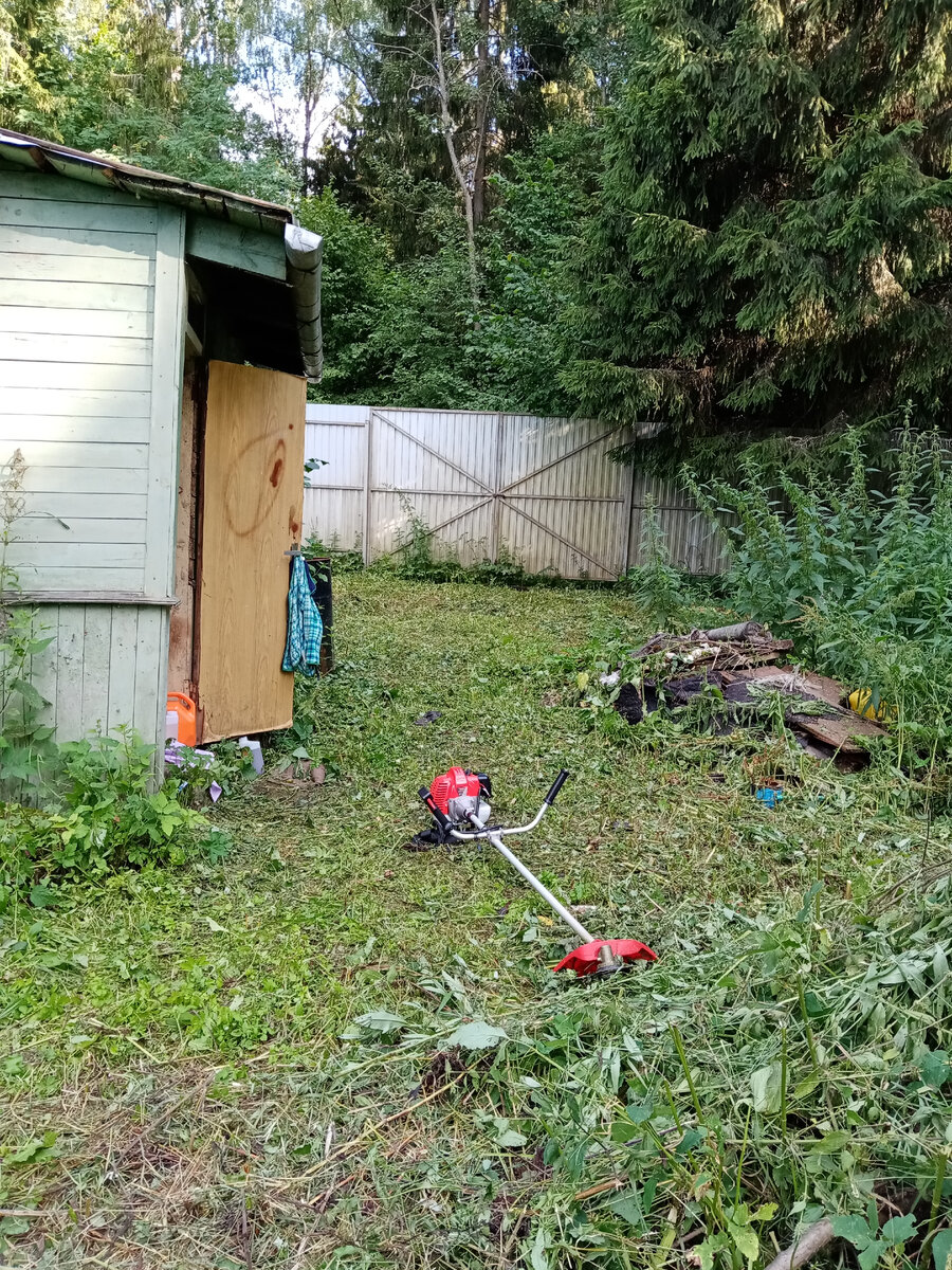 Уже можно и до сарая пройти спокойно, и до дровницы!)))