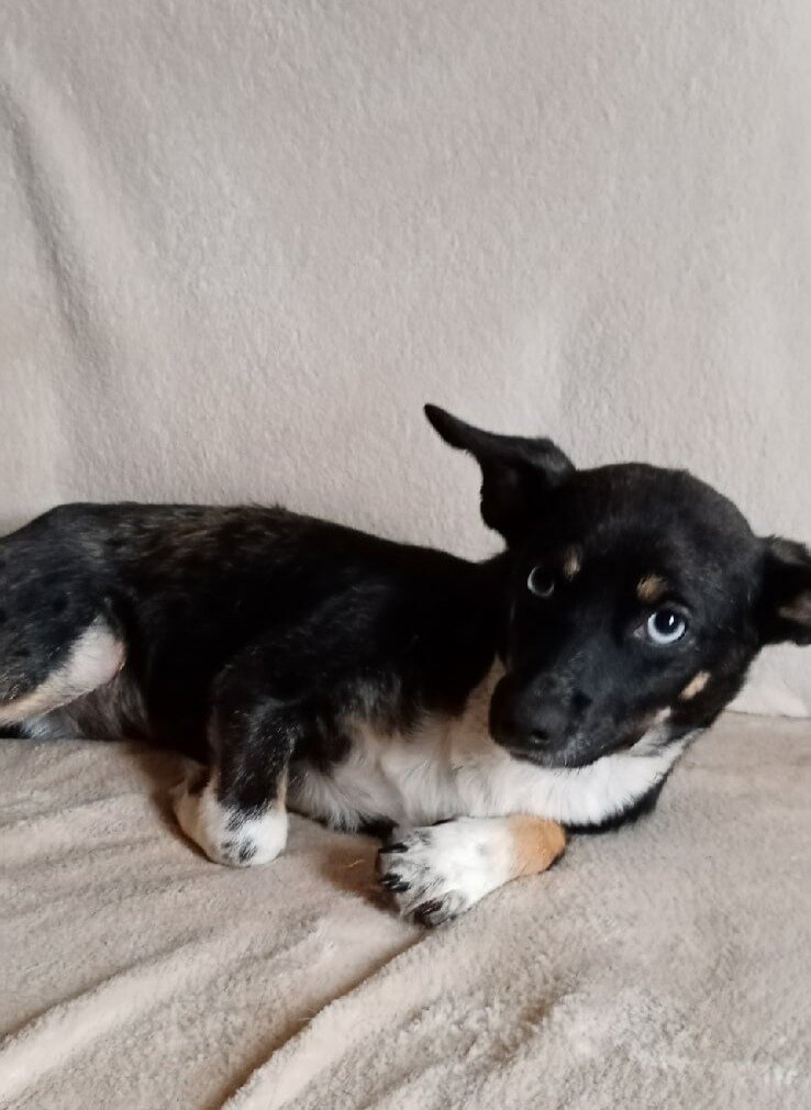 ему срочно нужен был человек