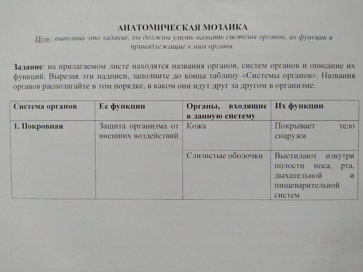 Это верхняя половина листа А4. Недостающие ячейки приклеиваются ниже и на обороте