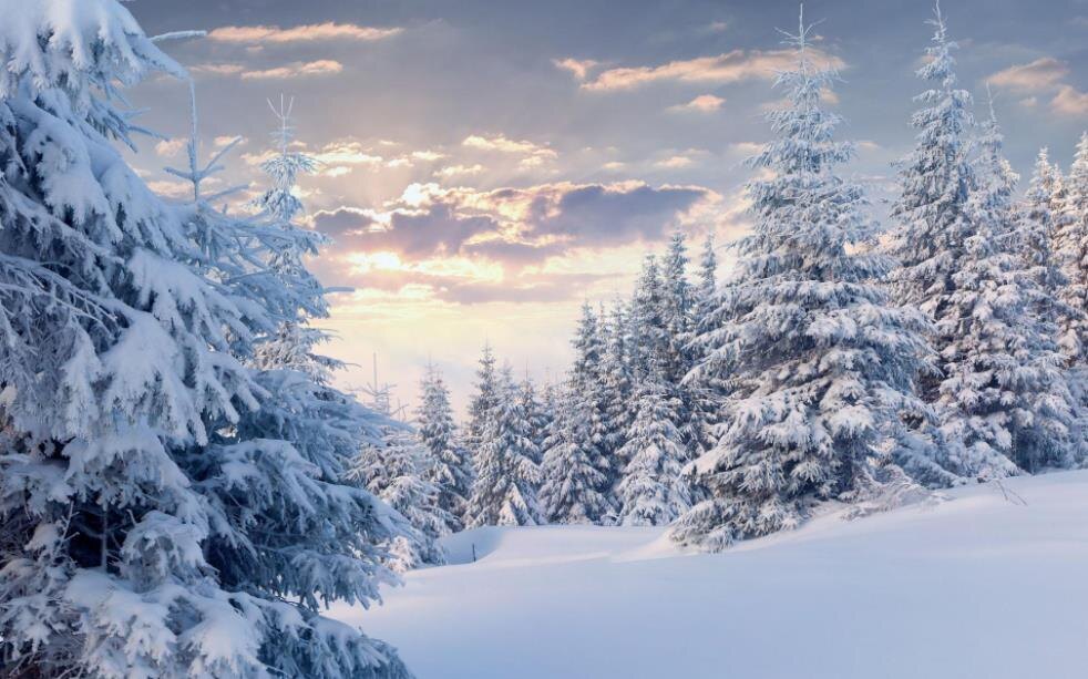 Фото — winudf.com