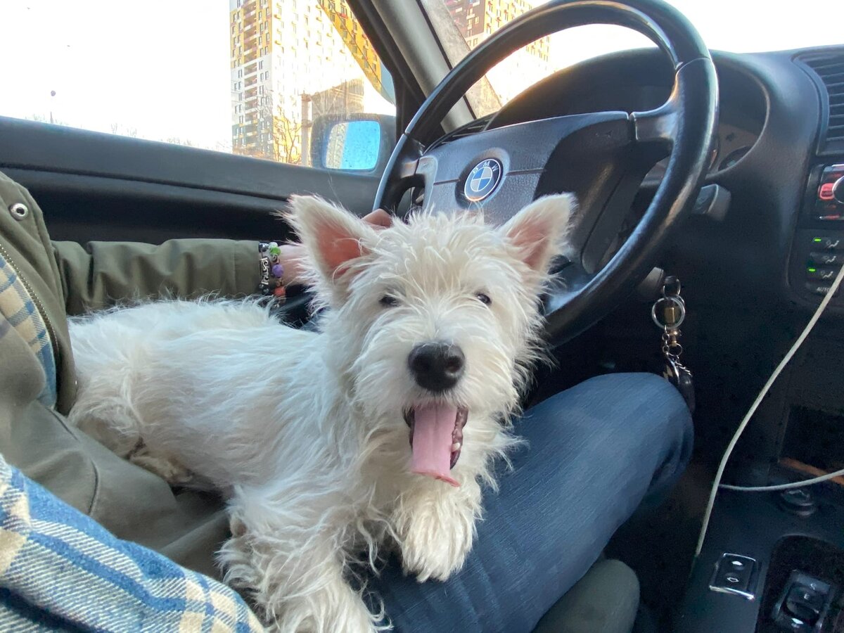 Эх, мать, притомился я