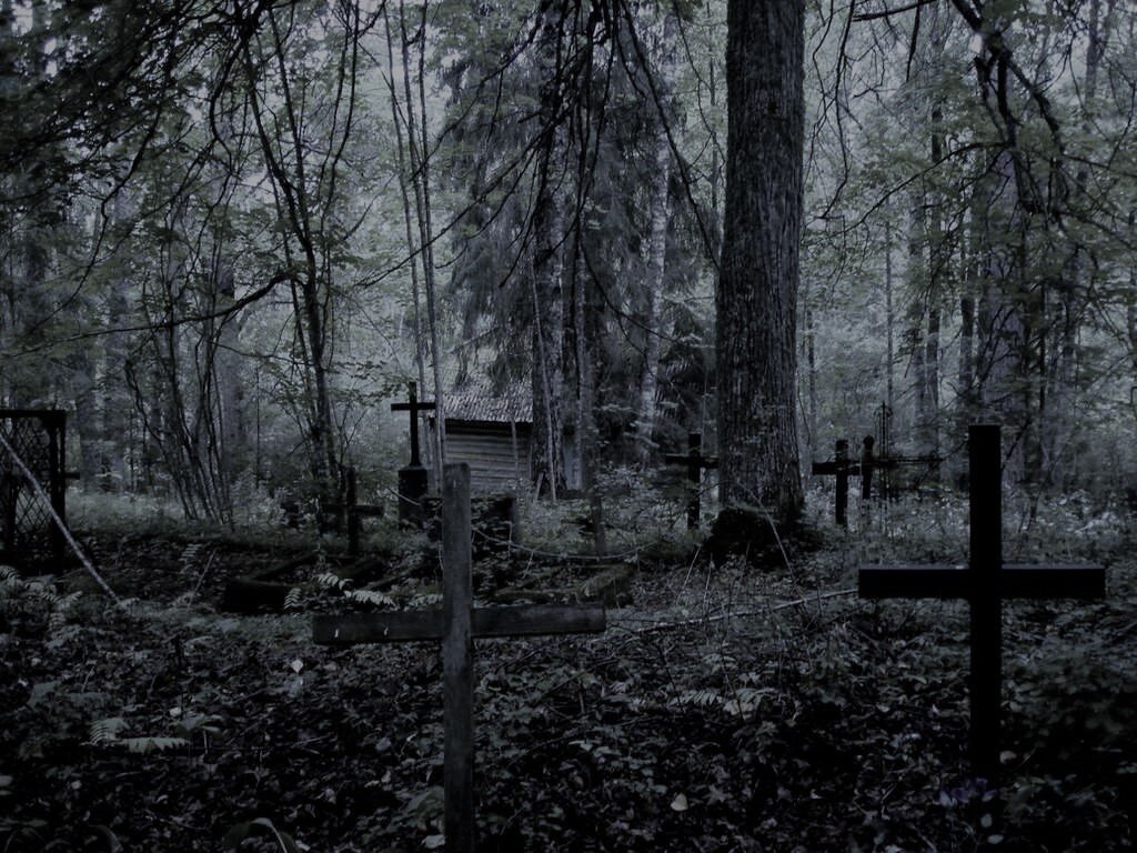 Фото старых могил. Серое заброшенное кладбище. Старое заброшенное кладбище. Заброшенное кладбище Погост. Заброшенные Лесные кладбища.