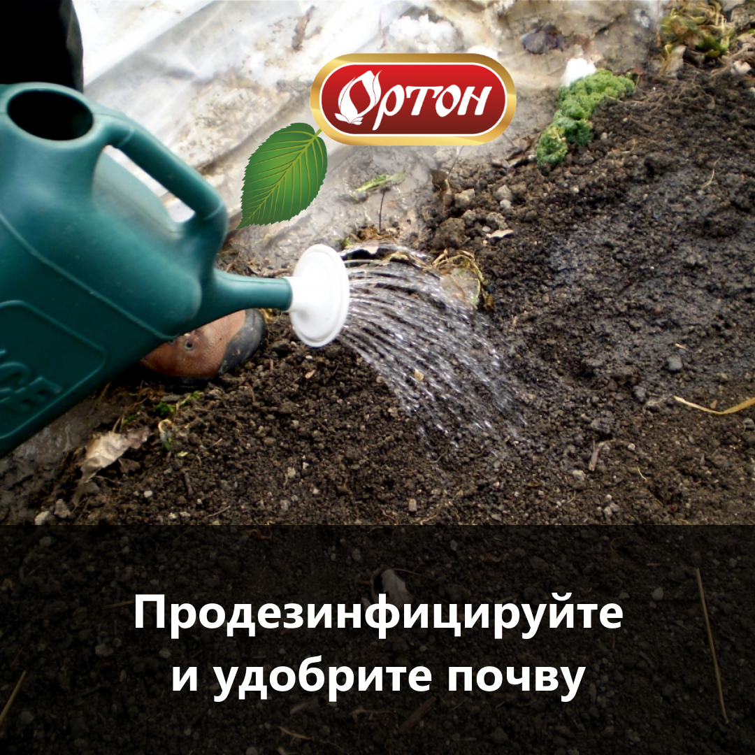 Уделите внимание грунту