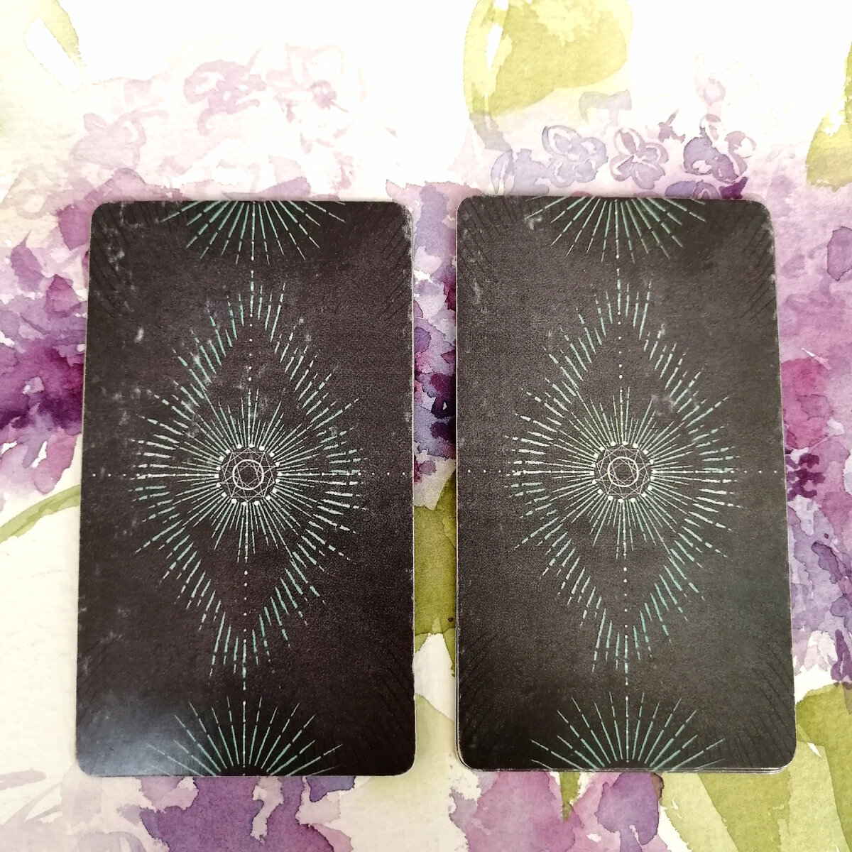 Личное фото автора.