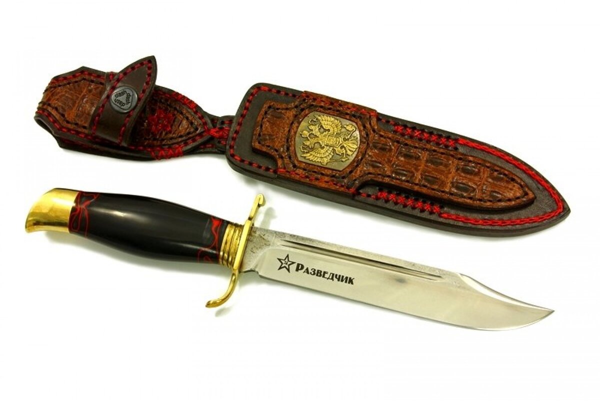 Фото из открытых источников.