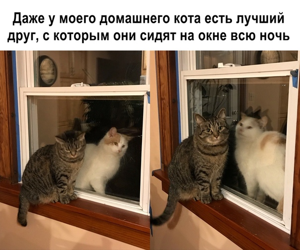 Не без баянов ))) - Сообщество "Позитивов ☺ зы" на DRIVE2
