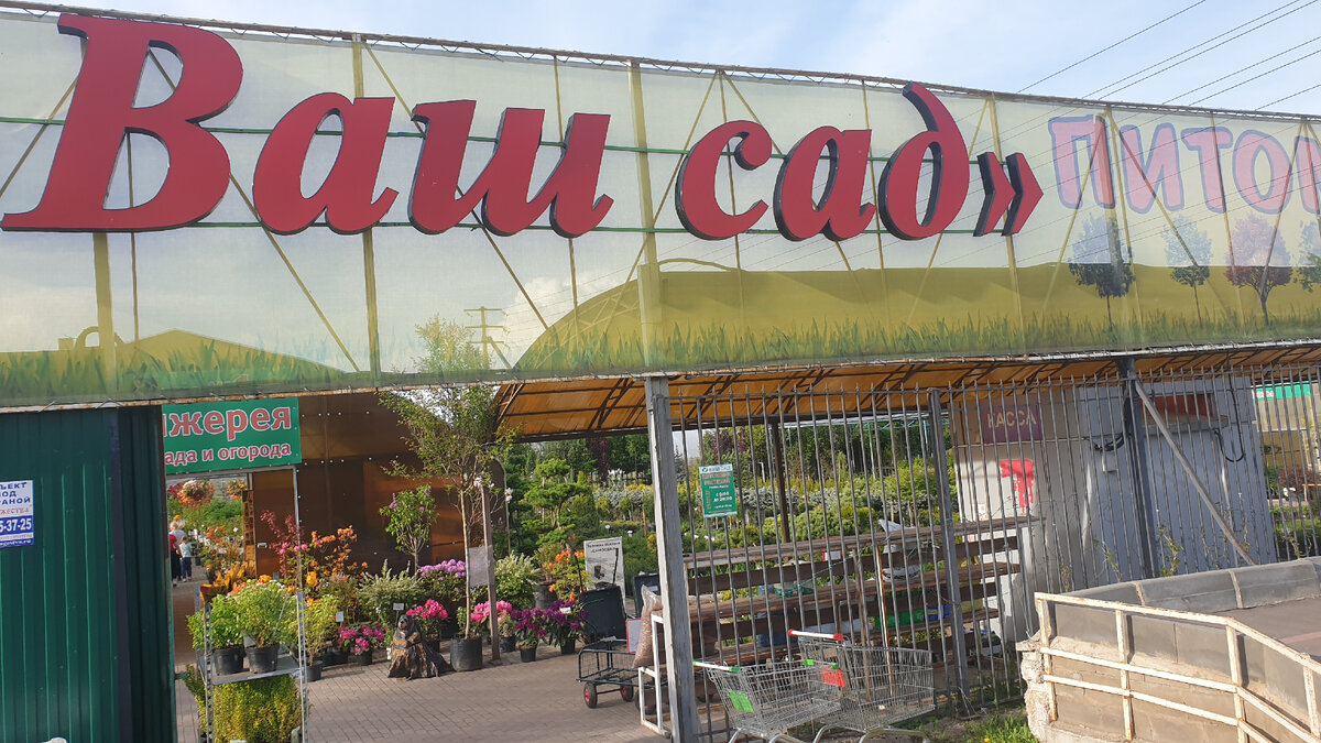 Питомник \"Ваш сад\" - красиво, но дорого. Очень дорого | Сделано! | Дзен