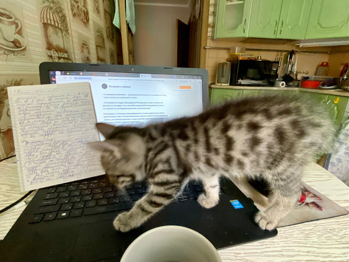 Мурзилка – моя главная помощница при написании статей