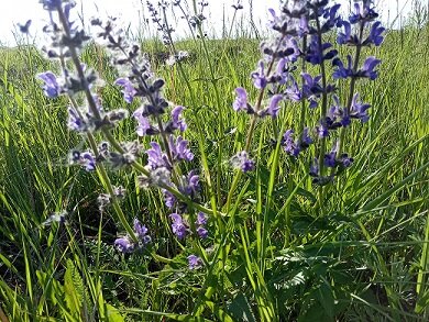 Фотография из личного архива автора