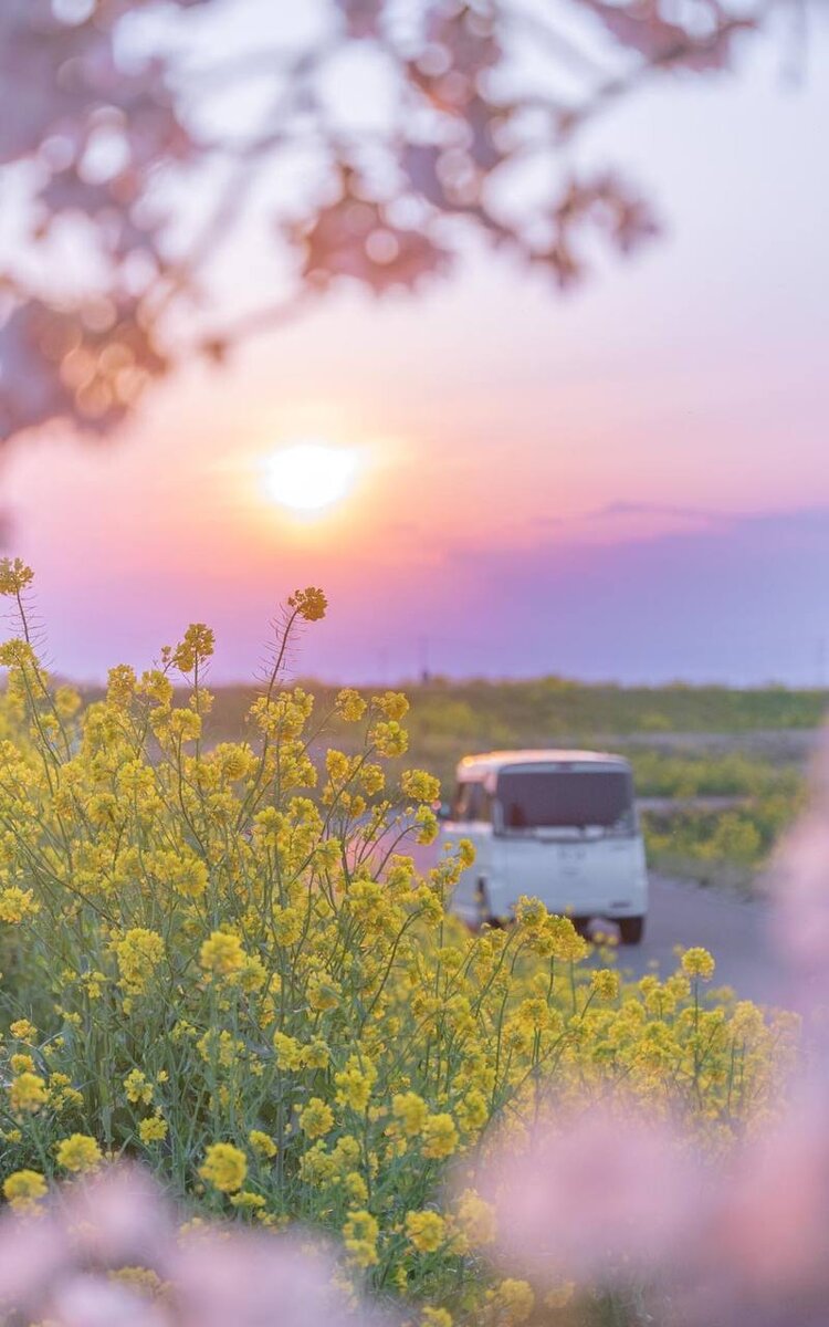 

Мы живем среди людей, которые уткнулись в экраны смартфонов, компьютеров, планшетов, телевизоров и других технических устройств. 

Но одно дело, когда вы используете эти устройства и совсем другое, когда они начинают контролировать вашу жизнь и быть неотъемлемой частью вашей жизни 

Выключите все свои гаджеты (на это уйдет может быть чуть более секунды) и останьтесь наедине с собой, прогуляйтесь, займитесь спортом. Вы будете удивлены тем, что вы увидите, да сначала вы не поймёте , все то что вас окружает , но со временем , вы будите приятно удивлены 

Я сам был поглощён технологиями , но никогда не поздно вынырнуть из этого болота и открыться миру , ведь когда ты в них вы ты перестаёшь получать настоящие эмоции