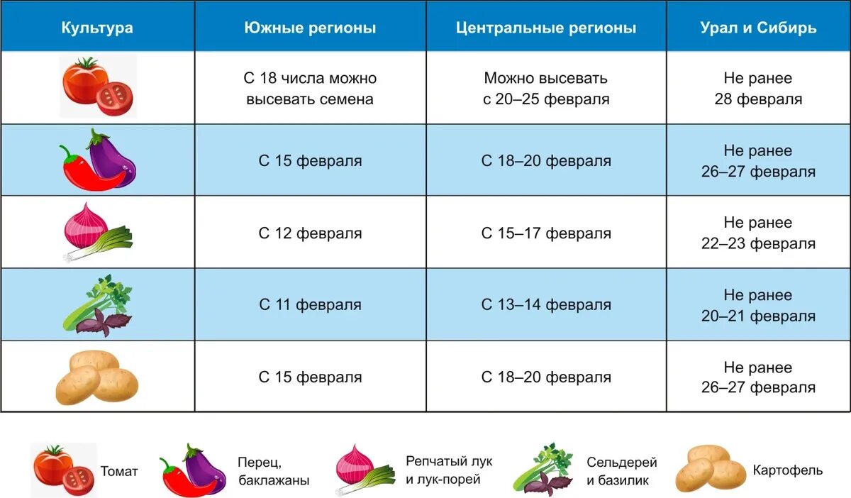 Сроки посадки семян в регионах Российской Федерации. Иллюстрация: "Весь.Искитим"